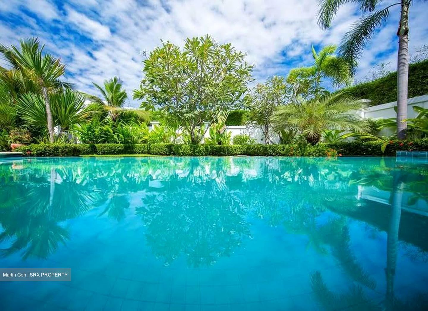 Raffles Park (D11), Detached #604270891